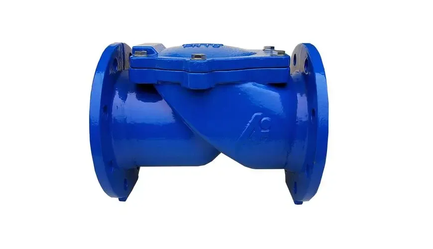 Aqra aktar dwar Check Valve Assy